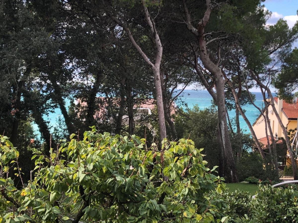 Adriatic Paradise Apartment