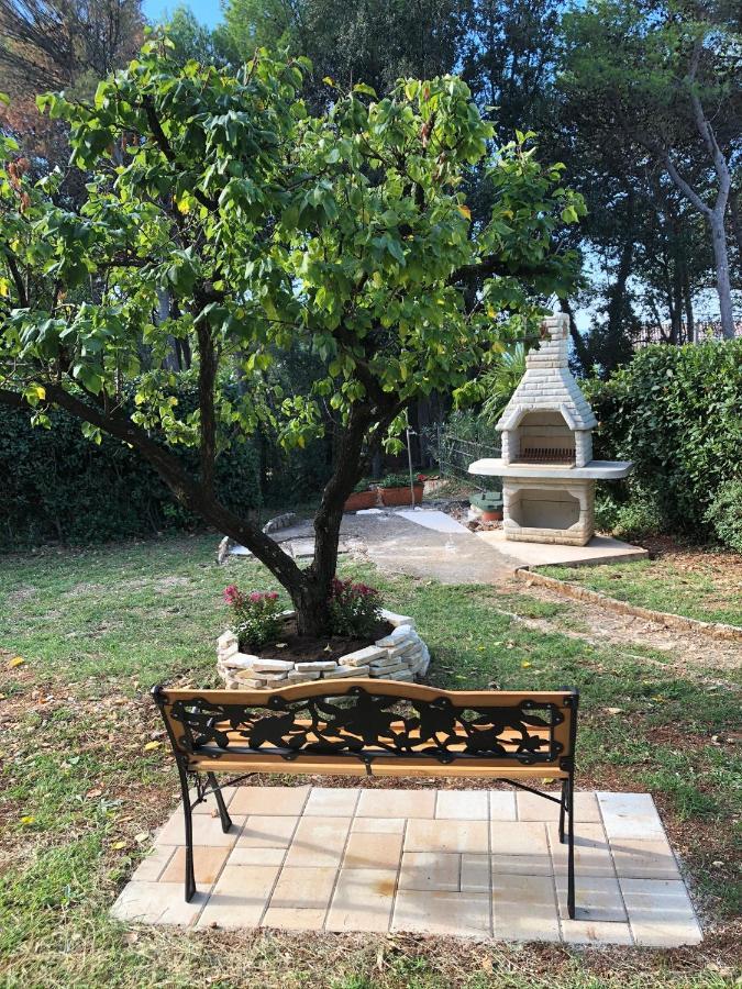 Apartment Adriatic Paradise *