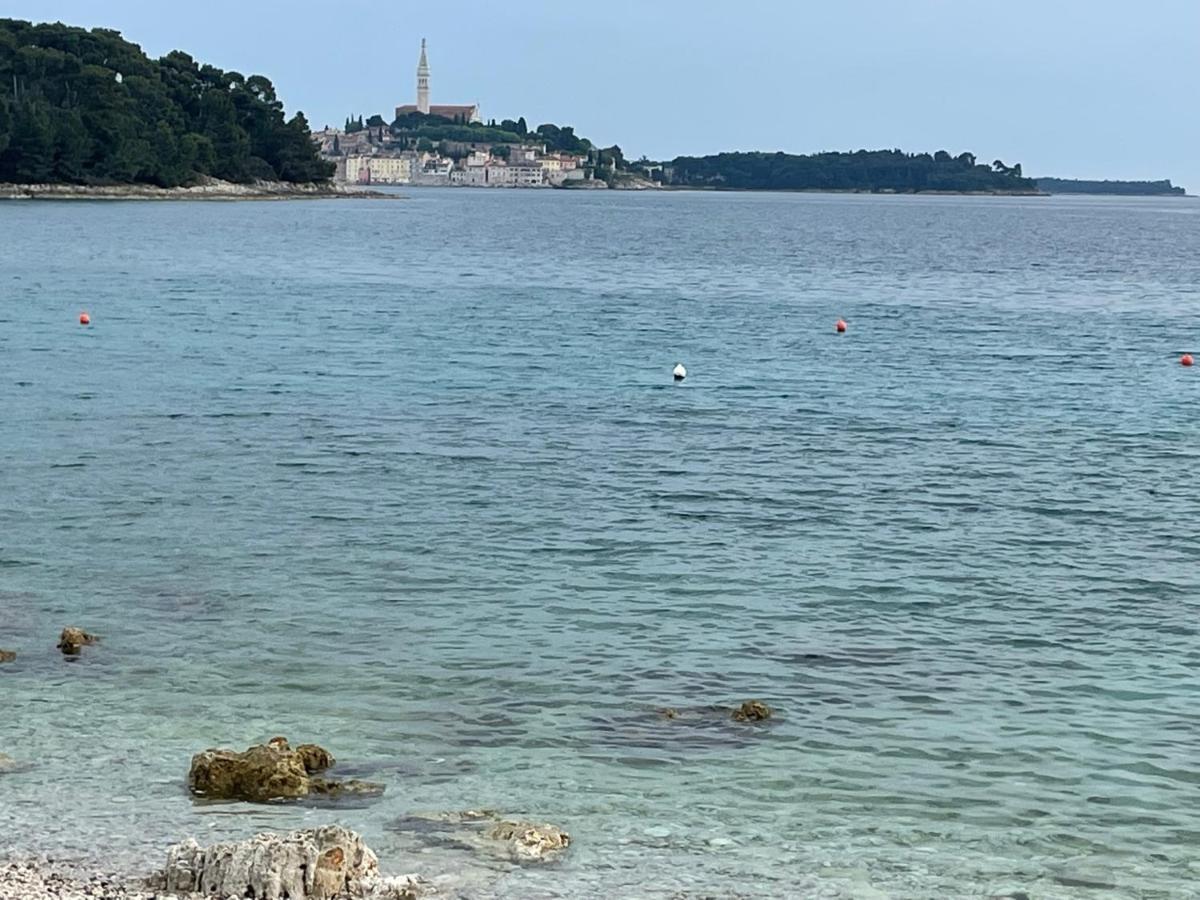 Adriatic Paradise Apartment