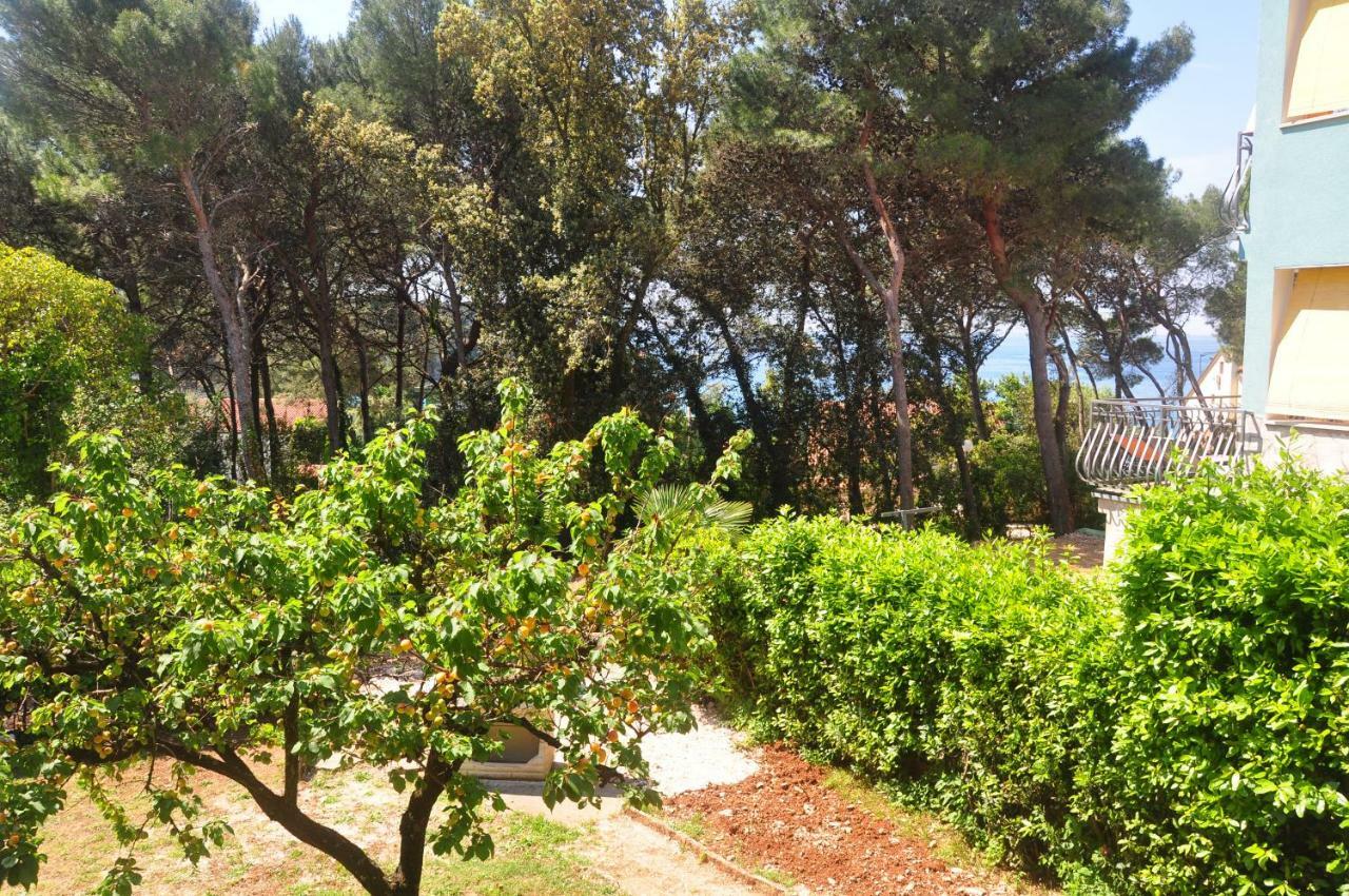 Adriatic Paradise Apartment Rovinj